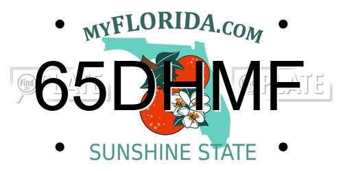 65DHMF Florida License Plate