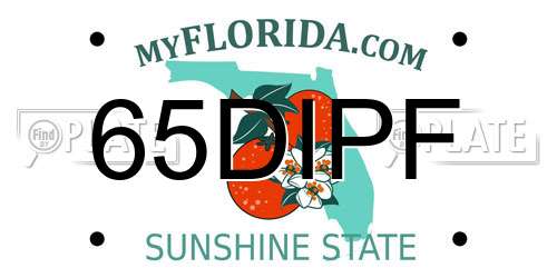 65DIPF Florida License Plate