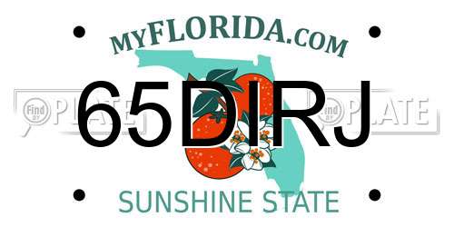65DIRJ Florida License Plate