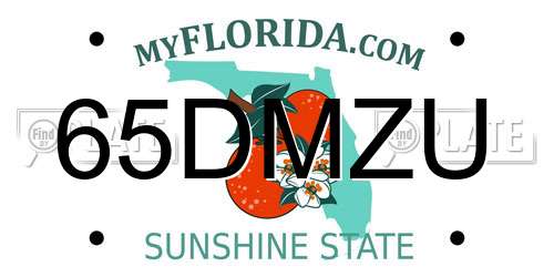 65DMZU Florida License Plate