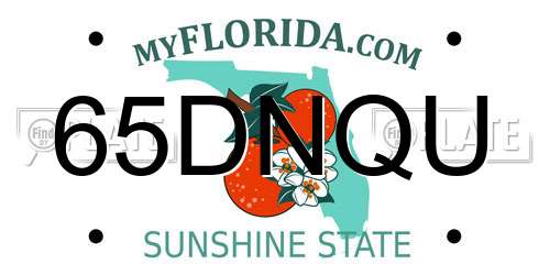 65DNQU Florida License Plate