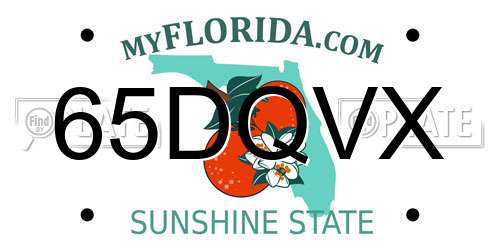 65DQVX Florida License Plate