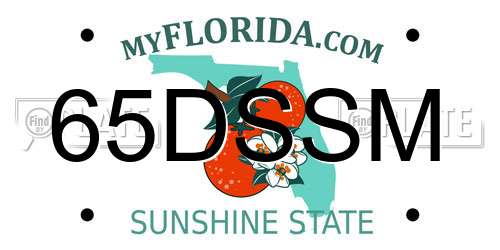 65DSSM Florida License Plate