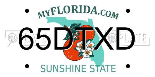 65DTXD Florida License Plate