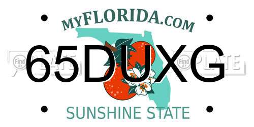 65DUXG Florida License Plate