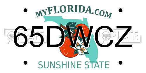 65DWCZ Florida License Plate