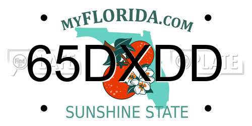 65DXDD Florida License Plate