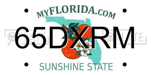 65DXRM Florida License Plate