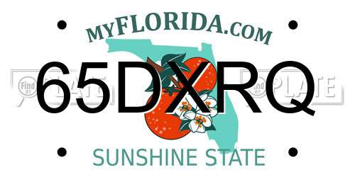 65DXRQ Florida License Plate