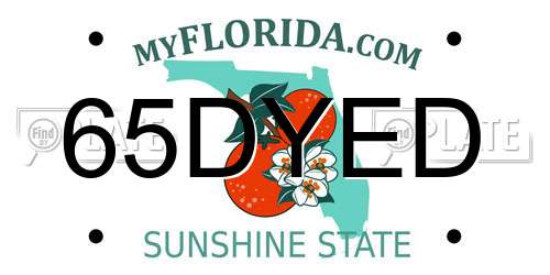 65DYED Florida License Plate