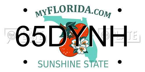 65DYNH Florida License Plate