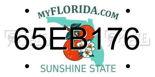 65EB176 Florida License Plate