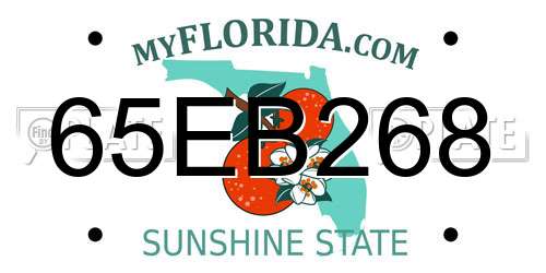 65EB268 Florida License Plate