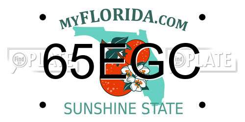 65EGC Florida License Plate