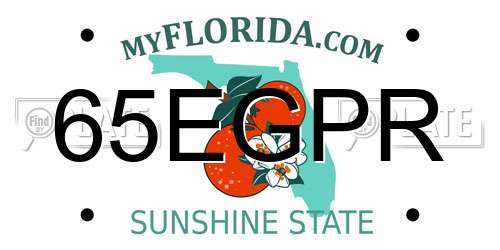 65EGPR Florida License Plate