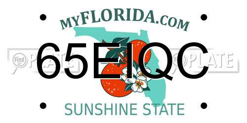 65EIQC Florida License Plate