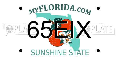 65EIX Florida License Plate