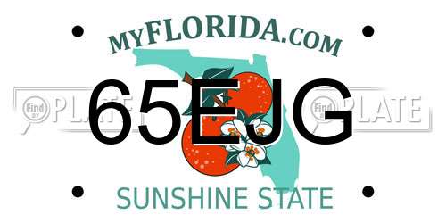 65EJG Florida License Plate