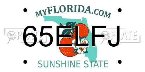 65ELFJ Florida License Plate