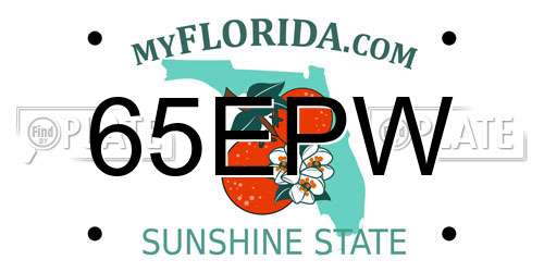 65EPW Florida License Plate