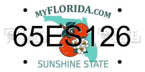 65ES126 Florida License Plate