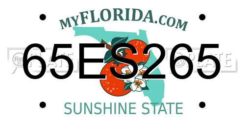 65ES265 Florida License Plate