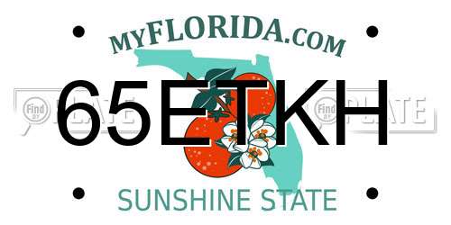 65ETKH Florida License Plate