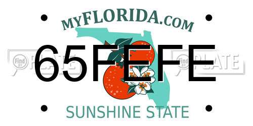 65FEFE Florida License Plate
