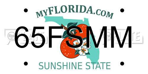 65FSMM Florida License Plate