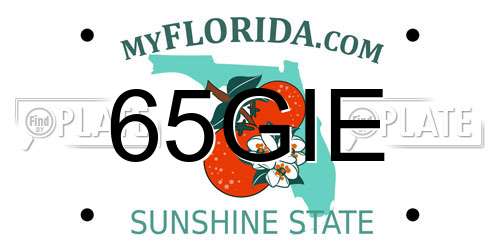 65GIE Florida License Plate
