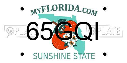 65GQI Florida License Plate
