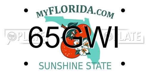 65GWI Florida License Plate