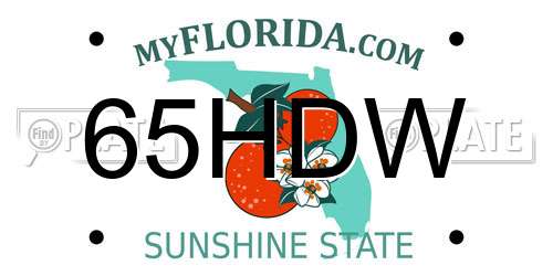 65HDW Florida License Plate