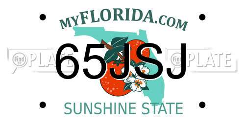 65JSJ Florida License Plate