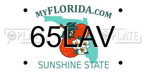 65LAV Florida License Plate