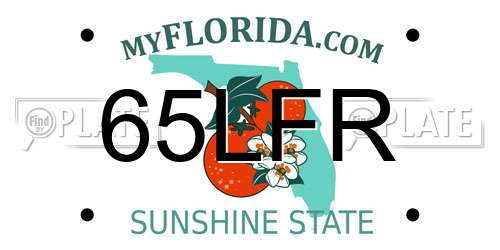 65LFR Florida License Plate
