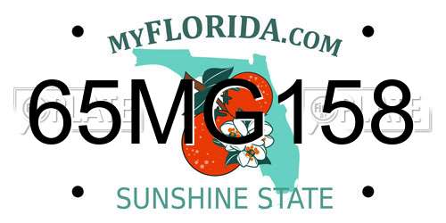 65MG158 Florida License Plate