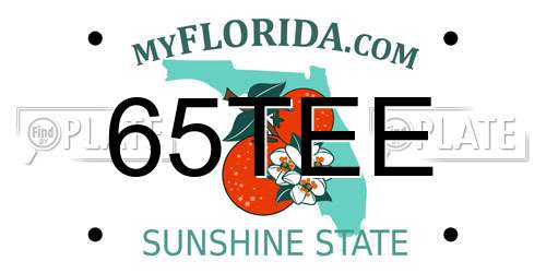 65TEE Florida License Plate