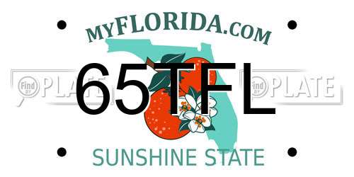 65TFL Florida License Plate