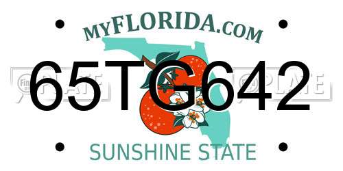 65TG642 Florida License Plate