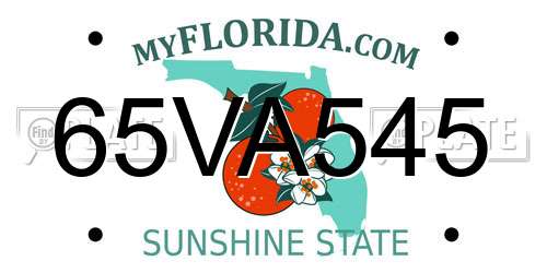 65VA545 Florida License Plate