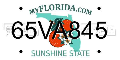 65VA845 Florida License Plate