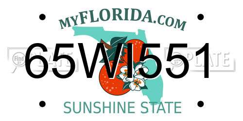 65WI551 Florida License Plate