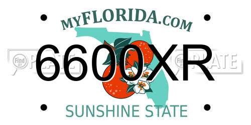 6600XR Florida License Plate
