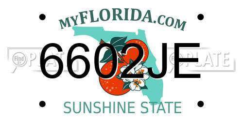 6602JE Florida License Plate
