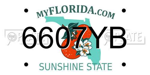 6607YB Florida License Plate