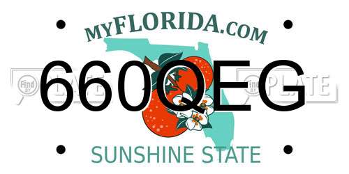 660QEG Florida License Plate