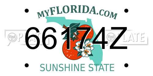 66174Z Florida License Plate