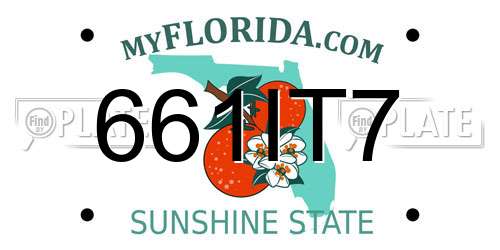 661IT7 Florida License Plate