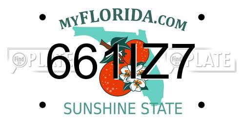 661IZ7 Florida License Plate
